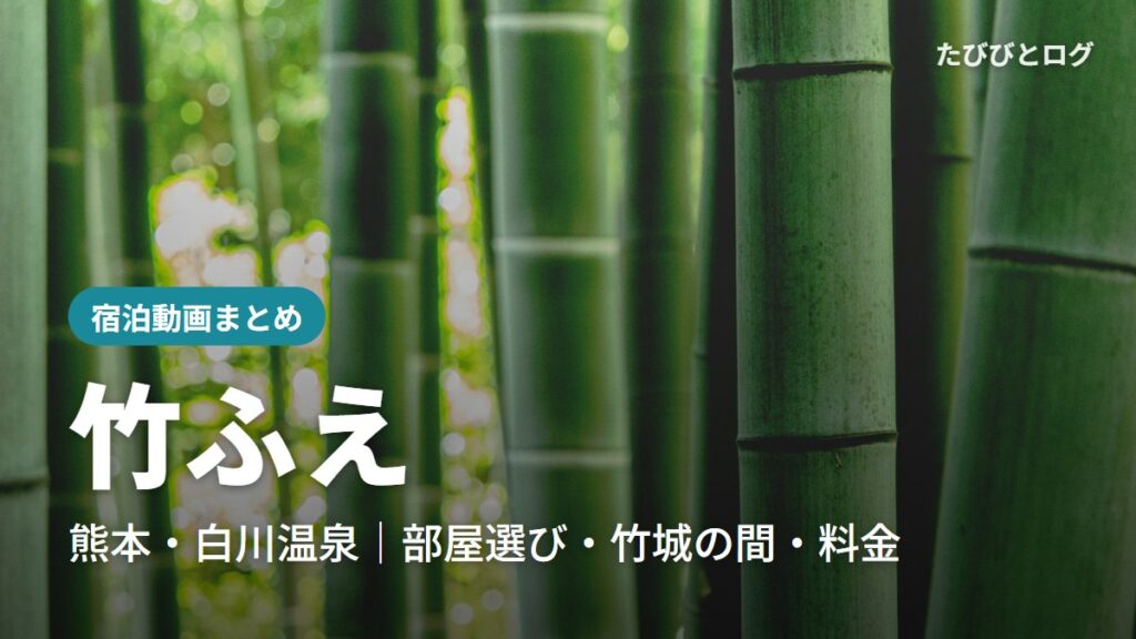 竹林の青竹のアップ