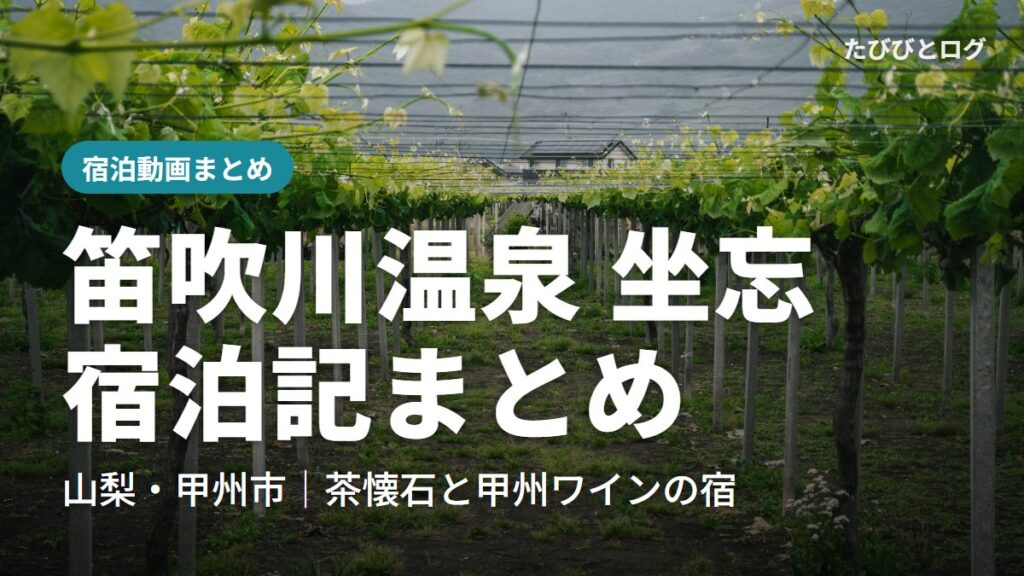 山梨県笛吹市のぶどう棚