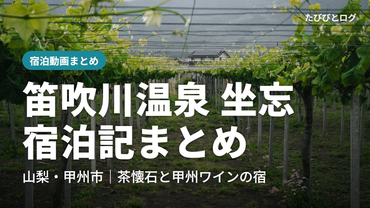 山梨県笛吹市のぶどう棚