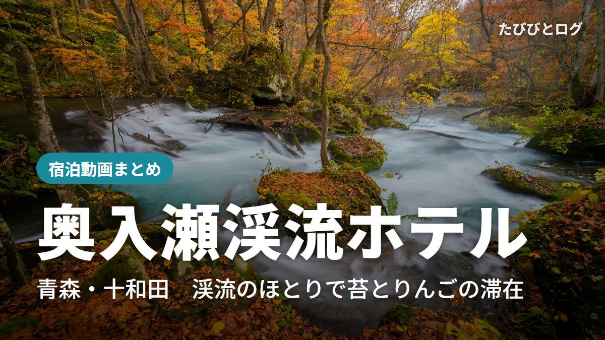 紅葉の奥入瀬渓流。苔むした岩のあいだを流れる白い渓流