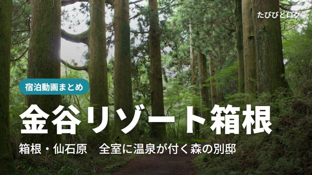 箱根の苔むした杉並木の森の小道
